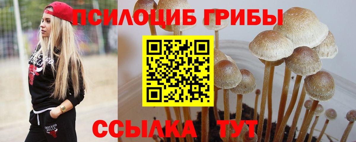 Сухой Лог  Галлюциногенные грибы GOLDEN TEACHER  Вход с VPN 